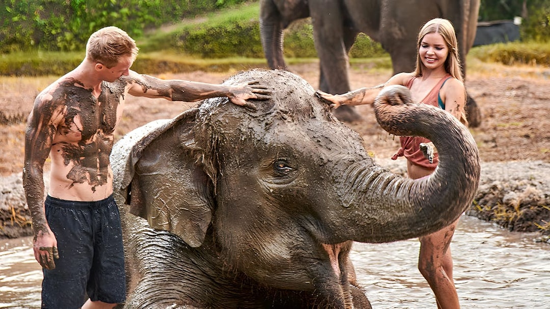 Young couple enjoying a mud bath with an elephant at Bali Zoo.