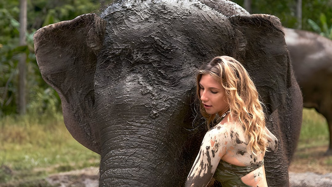 Person interacting with a mud-covered elephant at Bali Zoo's Elephant Mud Fun experience.
