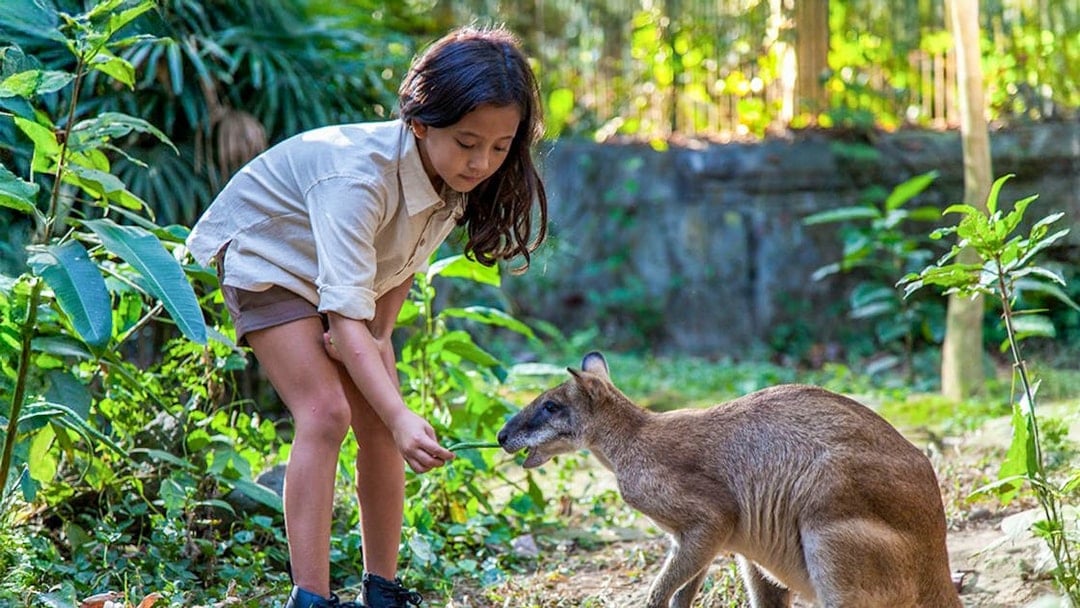 Girl feeding a kangaroo in a lush, green setting.