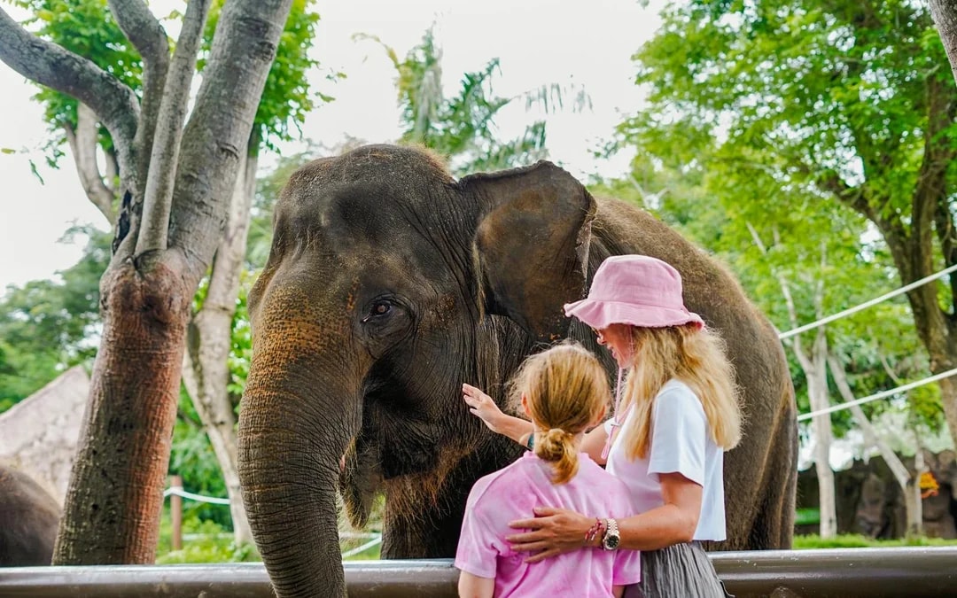 Bali Zoo Entry Tickets  Image 8