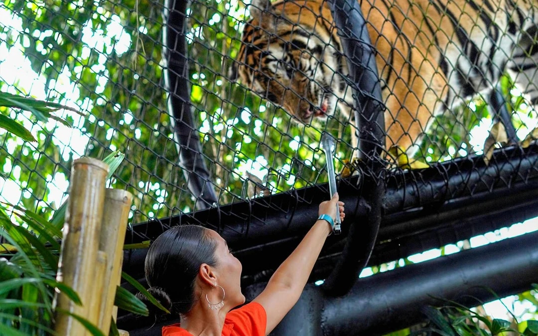 Bali Zoo Entry Tickets  Image 10