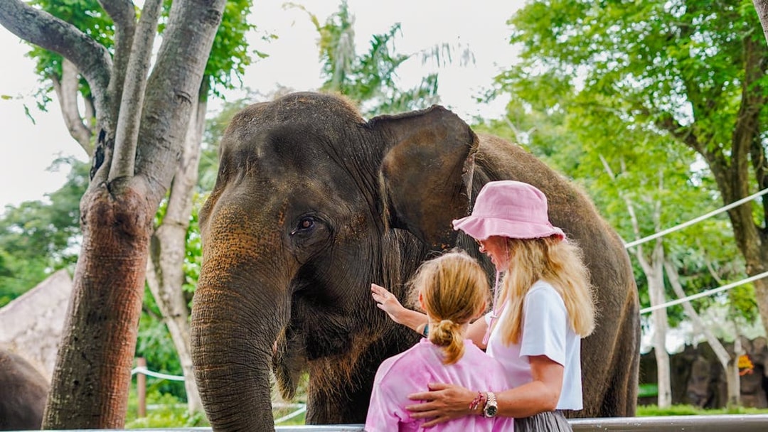 Tourists interacting with an elephant at Bali Zoo.