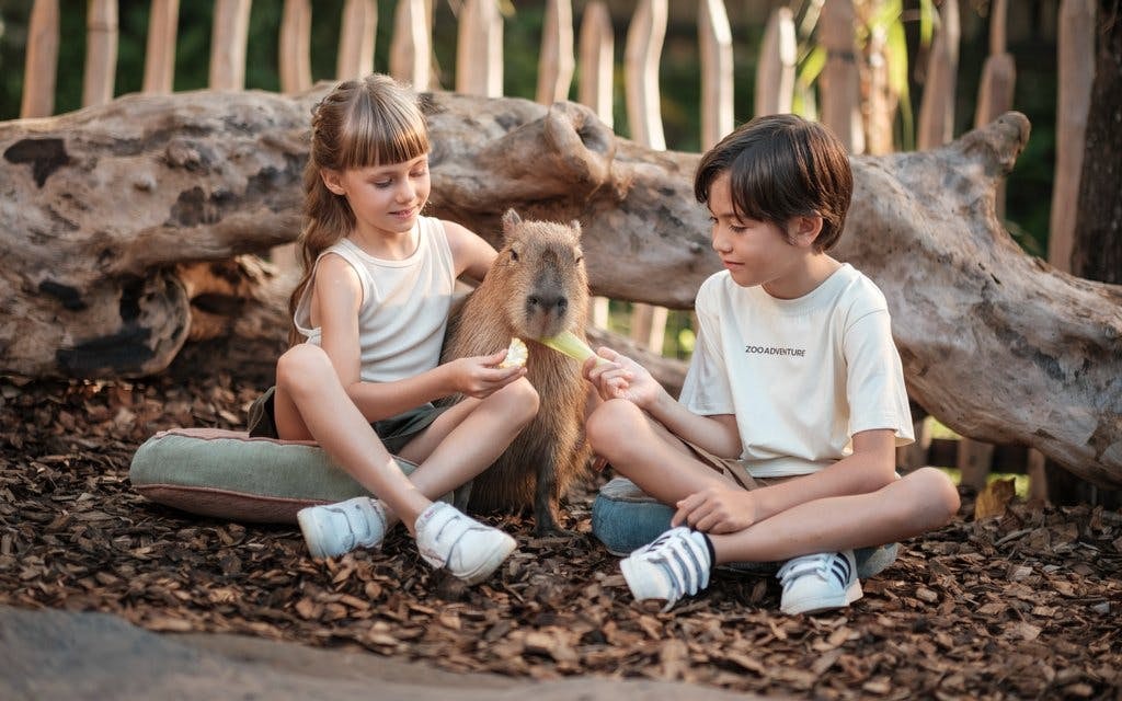  Bali Zoo Tickets + Breakfast with Orangutans  
 Image 2