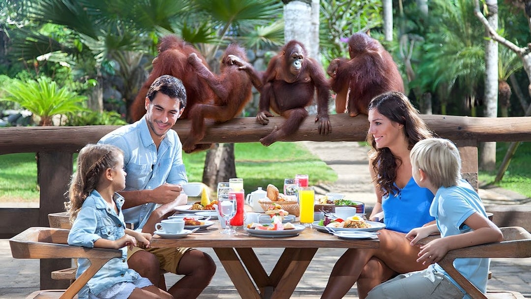 Bali Zoo Tickets + Breakfast with Orangutans