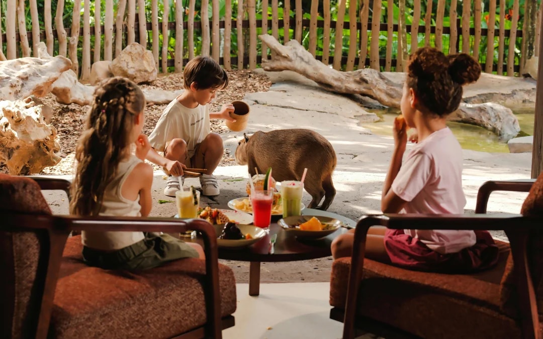Bali Zoo Tickets with Capybara Interaction & Optional Brunch Image 4