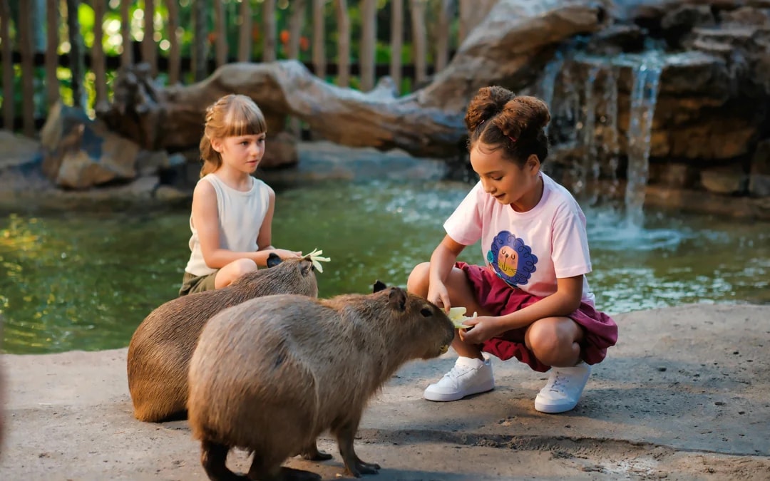 Bali Zoo Tickets with Capybara Interaction & Optional Brunch Image 6