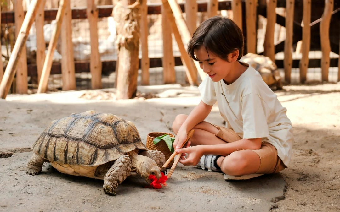 Bali Zoo Tickets with Capybara Interaction & Optional Brunch Image 7