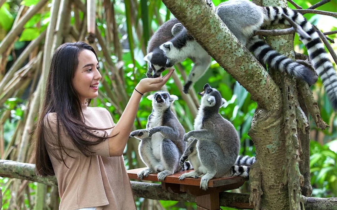  Bali Zoo Tickets with Elephant Feeding & Mud Bath 
 Image 8
