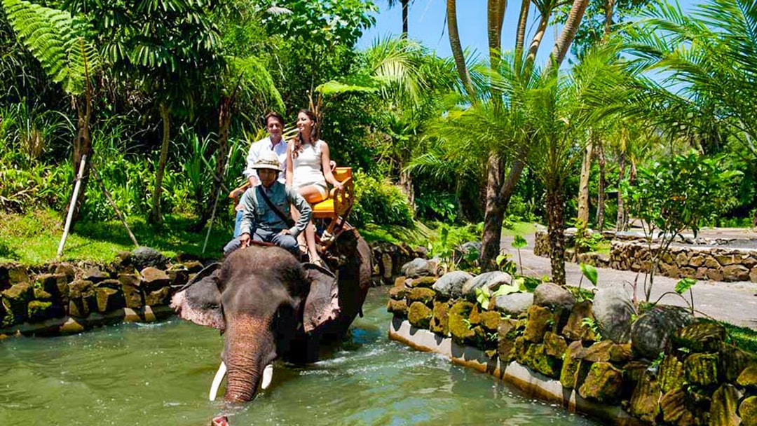 Elephant ride at Bali Zoo with tourists, surrounded by lush greenery.