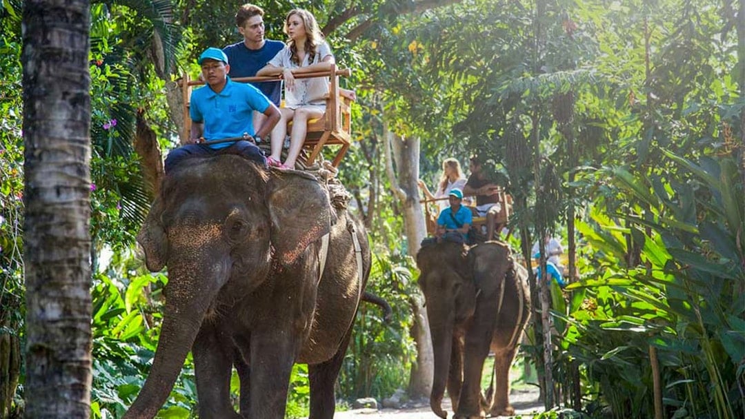 Bali Zoo Tickets with Elephant Ride