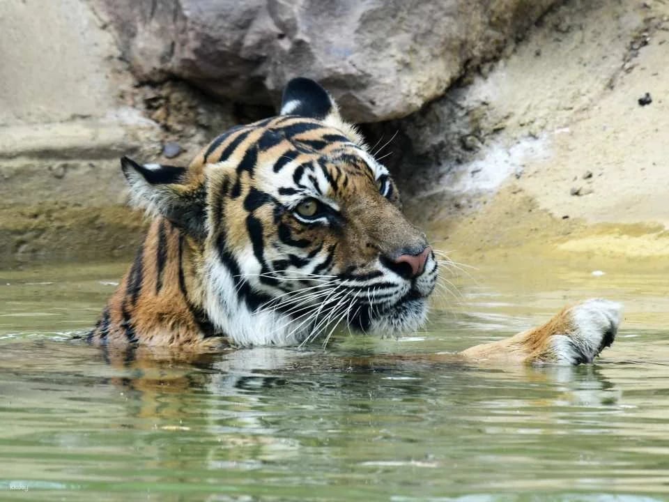 Ballarat Wildlife Park Entry Ticket | Victoria