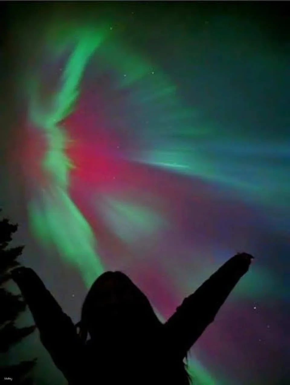 Banff's night sky adventure under the stars