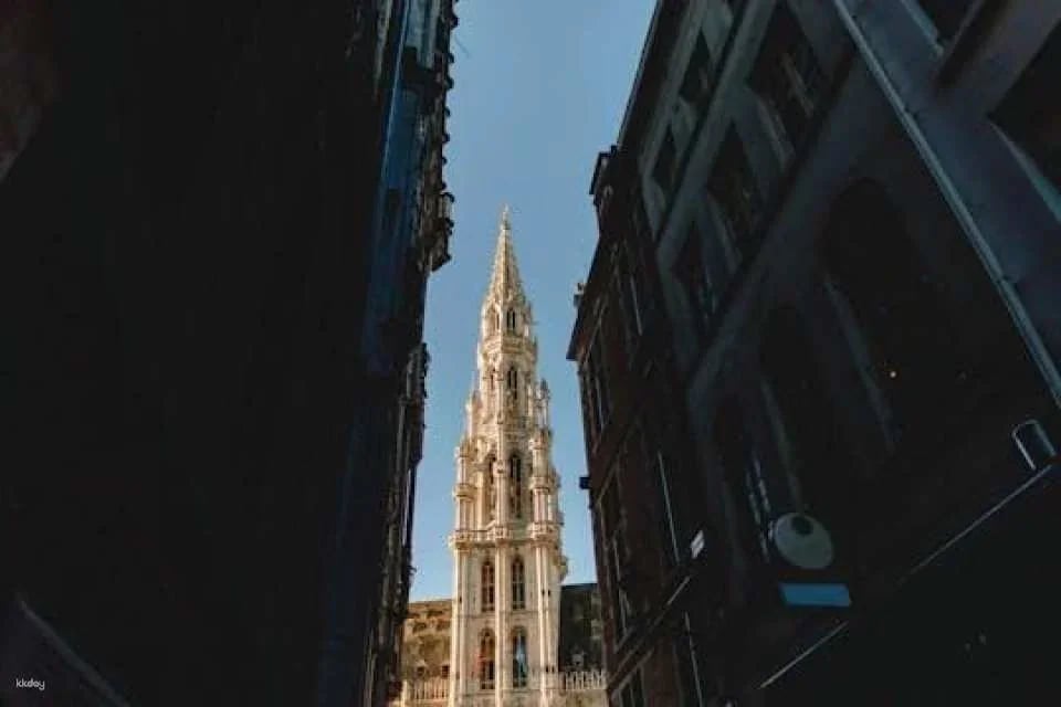 Banksy Museum admission and Brussels' highlights audio tour