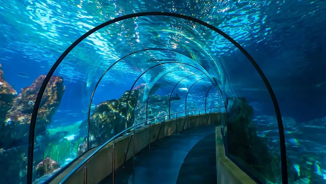 Visitors walking through underwater tunnel at Barcelona Aquarium.