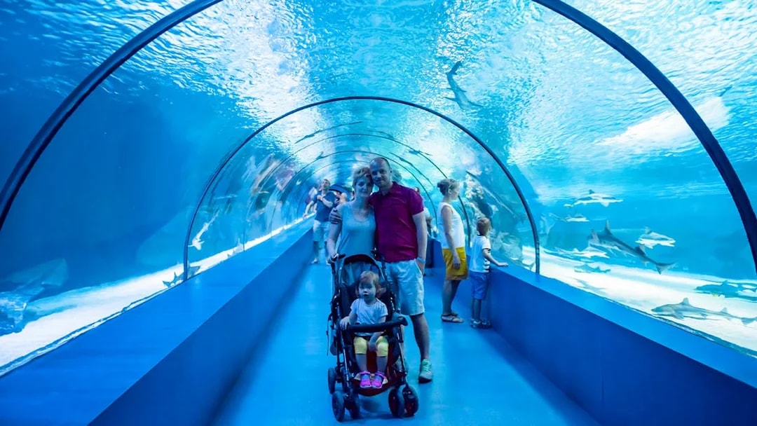 Family with stroller in underwater tunnel at Barcelona Aquarium, viewing marine life.