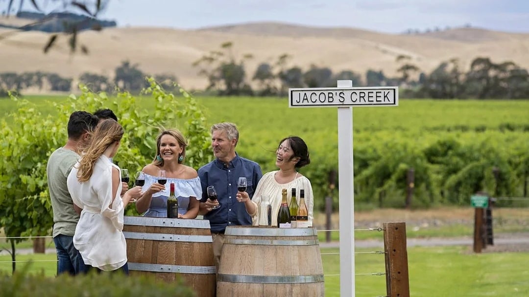 Group enjoying wine tasting at Jacob's Creek vineyard, Barossa Valley.