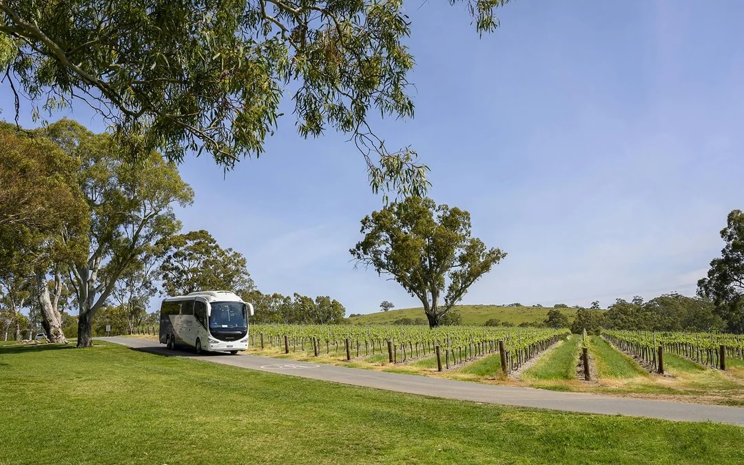 Barossa Food Tour with Wine Tasting Image 7