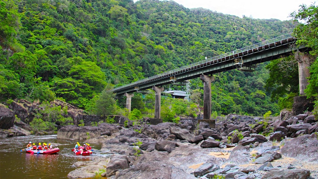 Rafting group on Barron River under a bridge surrounded by lush forest.
