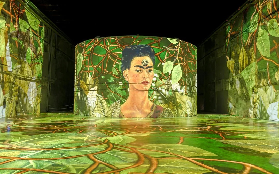 Bassins des lumières: Matisse & Frida Kahlo Immersive Experience Image 10