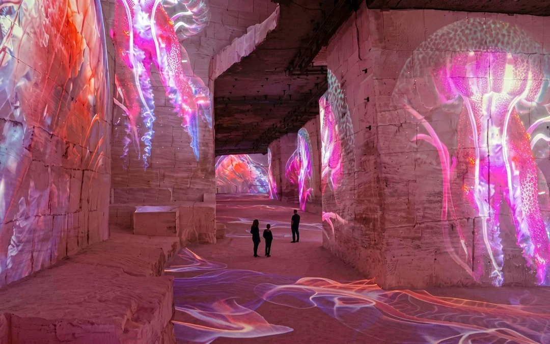 Bassins des lumières: Matisse & Frida Kahlo Immersive Experience Image 5