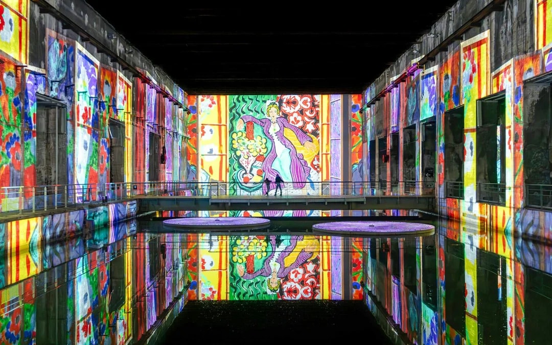 Bassins des lumières: Matisse & Frida Kahlo Immersive Experience Image 6