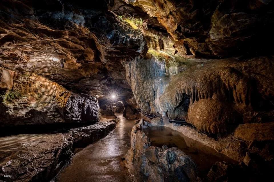 Beatus Caves Ticket