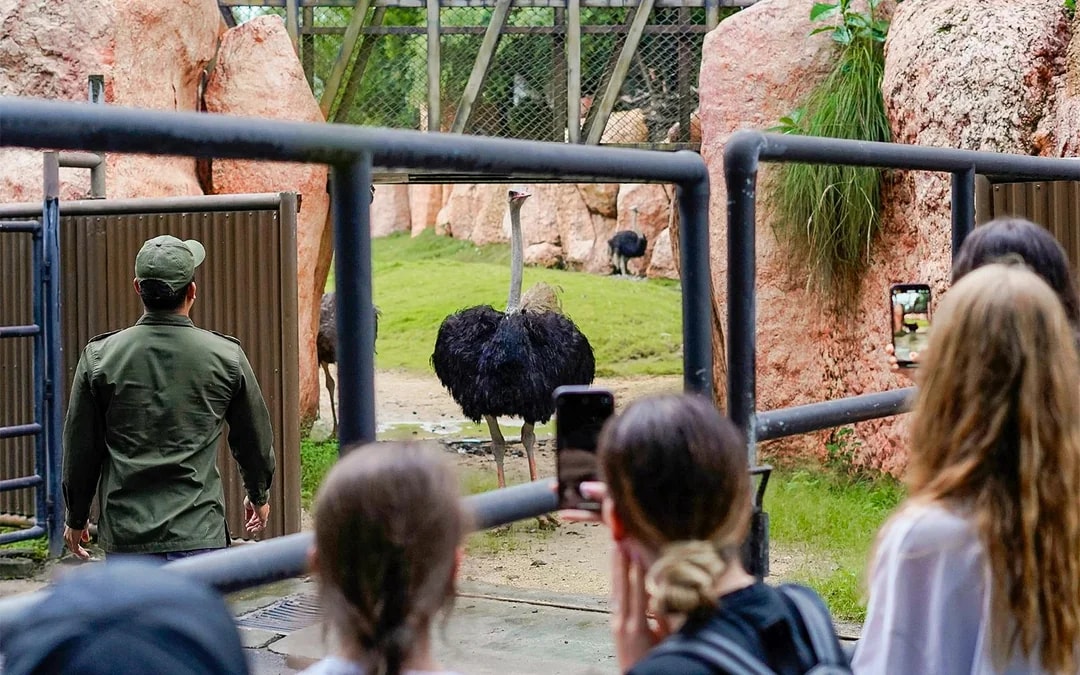  Behind Closed Doors at Bali Zoo Image 1