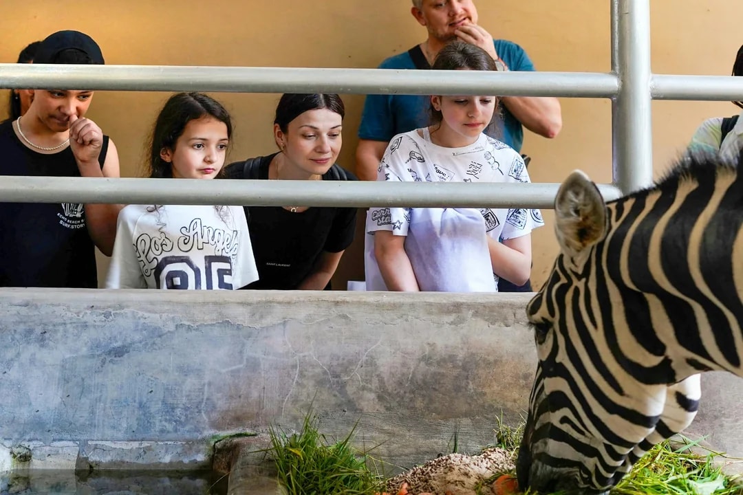  Behind Closed Doors at Bali Zoo Image 2