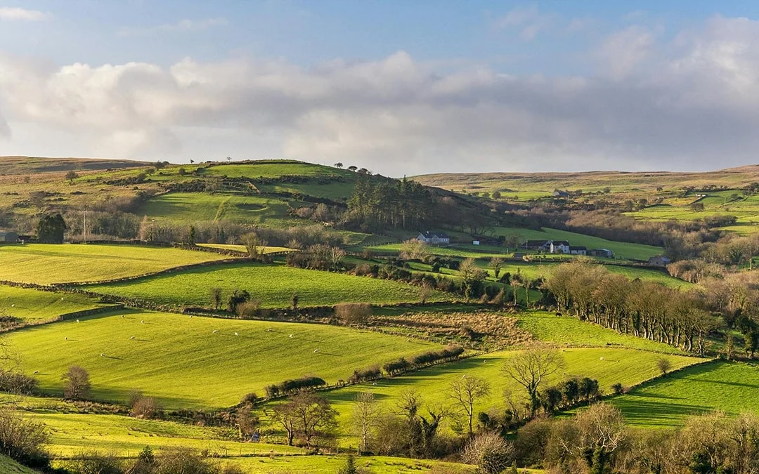 From Belfast: Game of Thrones Filming Locations Full-Day Guided Tour Image 4