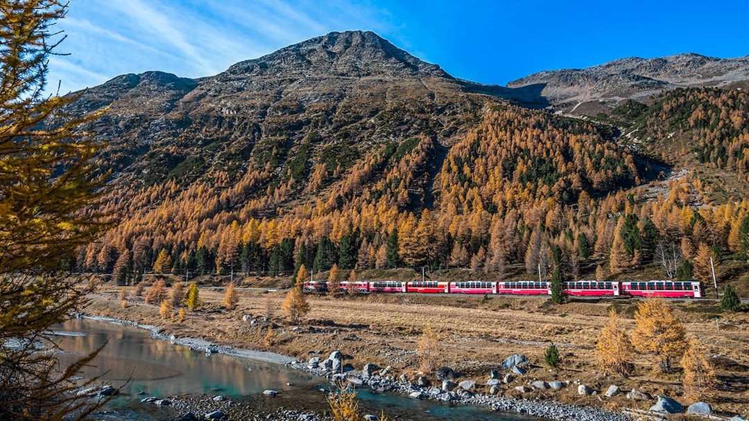 Bernina Express train passing through Swiss Alps with autumn trees and mountain backdrop.