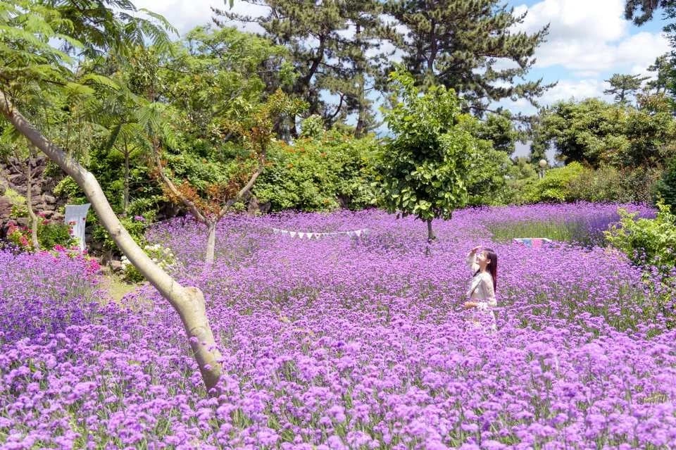 [Jeju] Bicheollin Theme Park