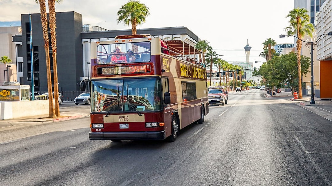 Las Vegas hop-on hop-off bus on city street with Stratosphere Tower in background.