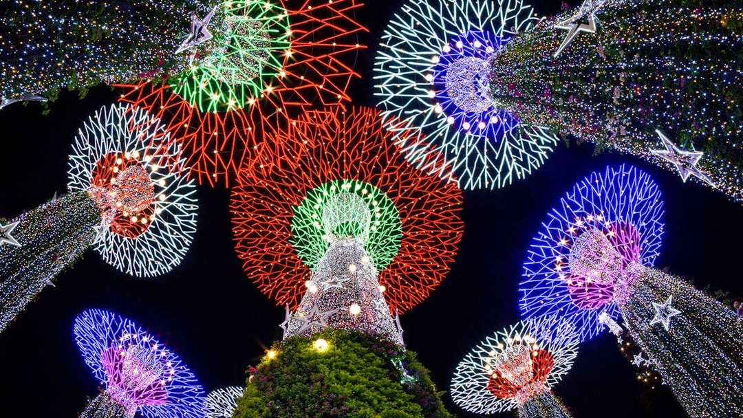 Supertree Grove illuminated at night during Singapore Night Tour.