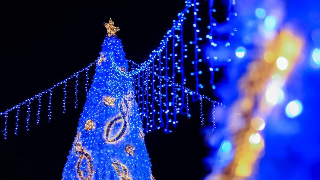 Blue Christmas lights display during Singapore Night Tour.