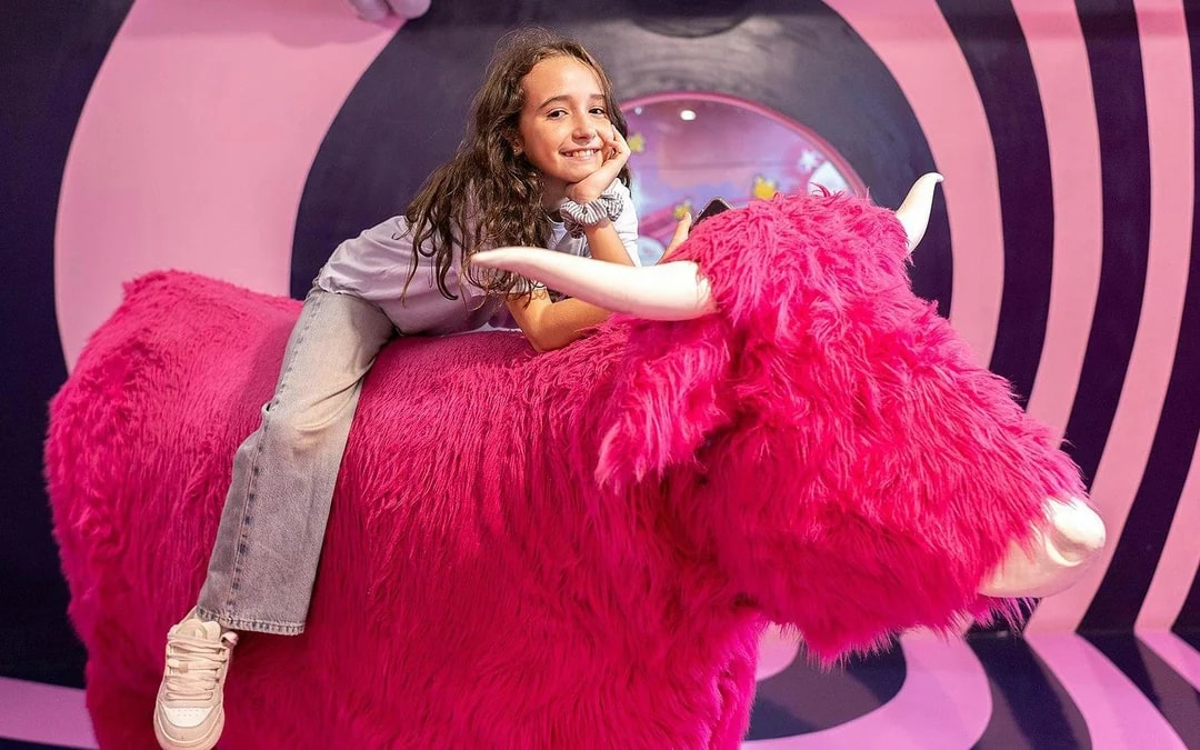 Big Fun Museum Image 7