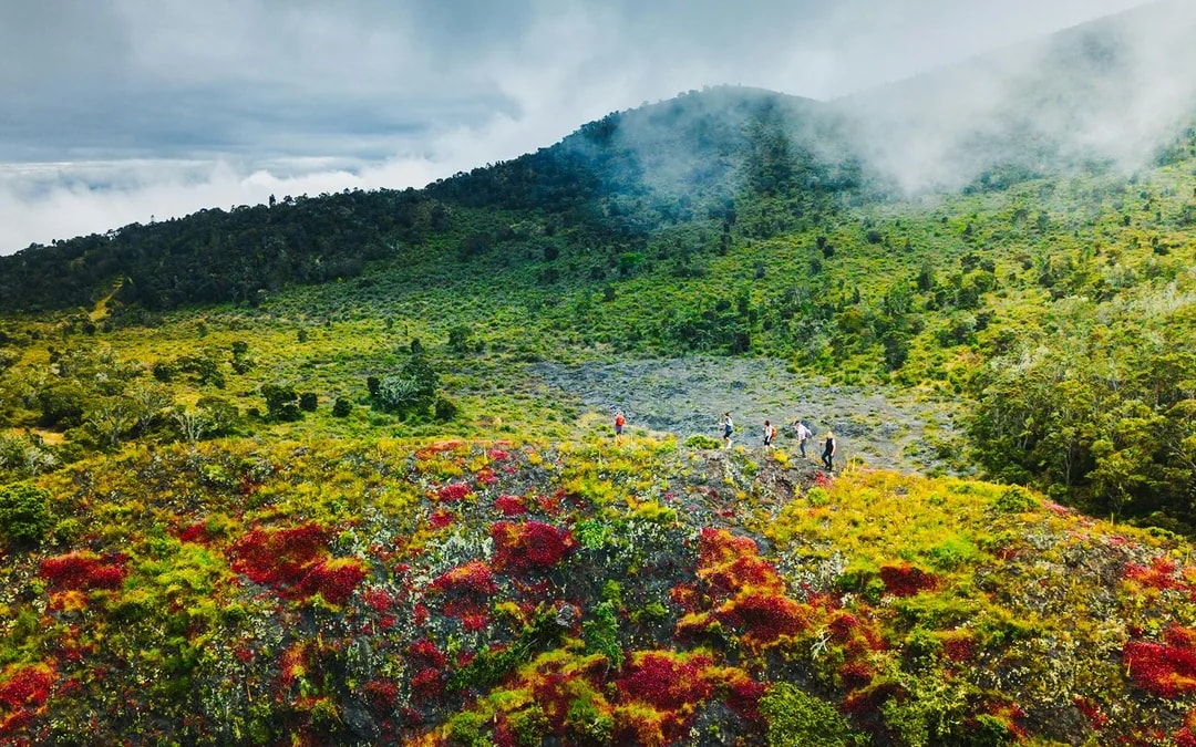 Big Island: Hidden Craters Hike Image 2