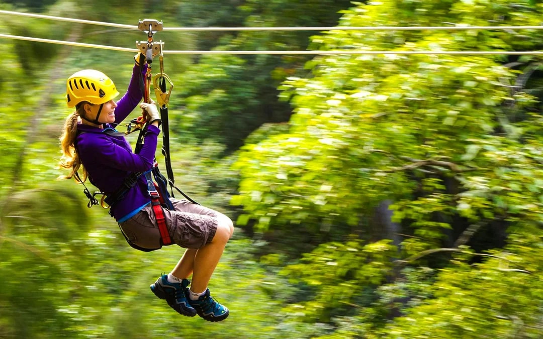 Big Island: Kohala Canopy Zipline Tickets Image 6