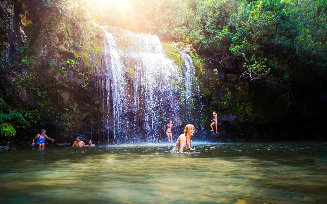 Big Island: Kohala Waterfalls and Canopy Zip & Dip Tour Image 2