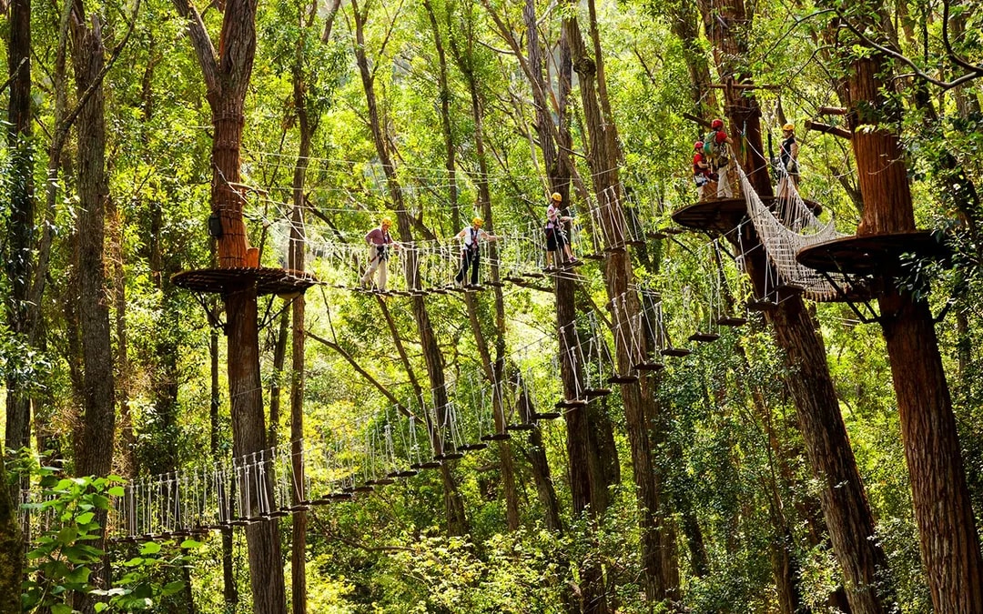 Big Island: Kohala Waterfalls and Canopy Zip & Dip Tour Image 3