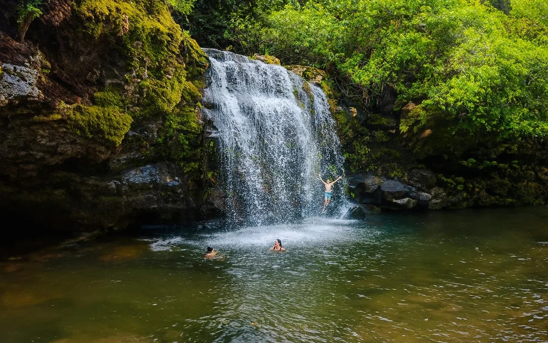 Big Island: Kohala Waterfalls and Canopy Zip & Dip Tour Image 5