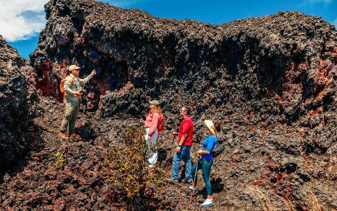 Big Island: Volcano, Chocolate & Waterfall Tour Image 7