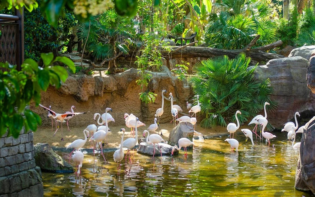 Bioparc Fuengirola Tickets Image 3