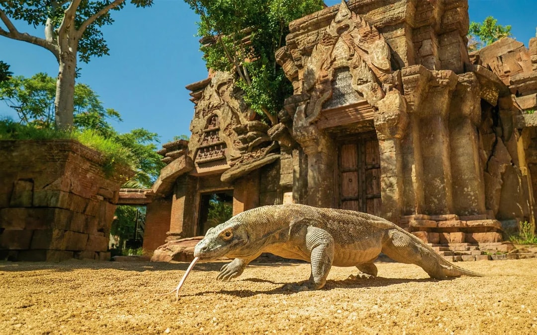 Bioparc Fuengirola Tickets Image 4