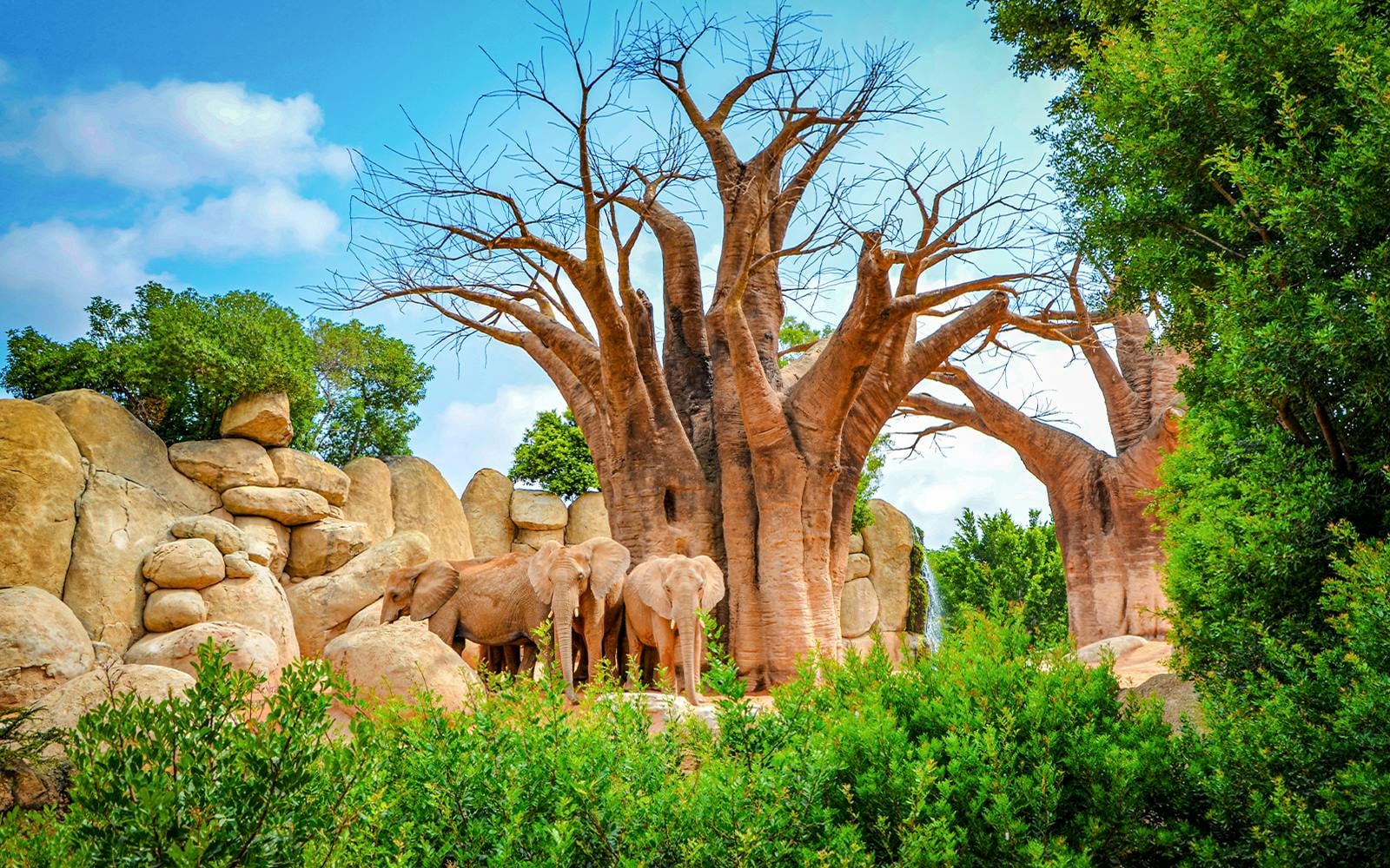 Bioparc Valencia Tickets (bioparc-valencia-tickets)