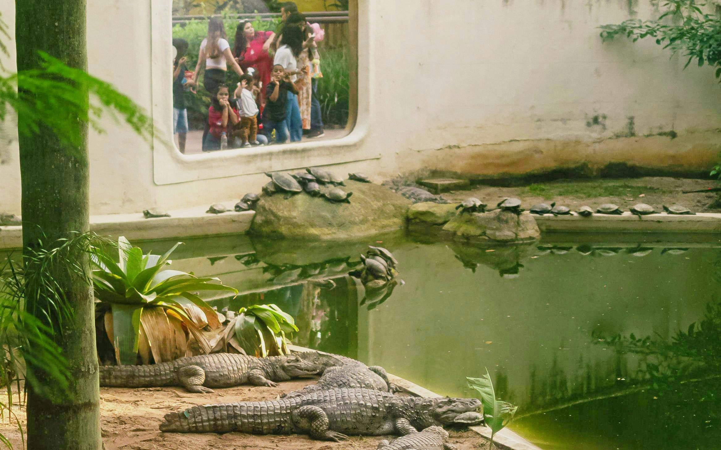 BioParque do Rio Entry Ticket