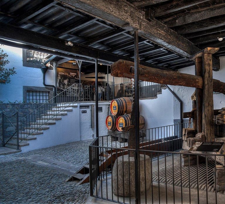 Madeira Wine Guided Tour