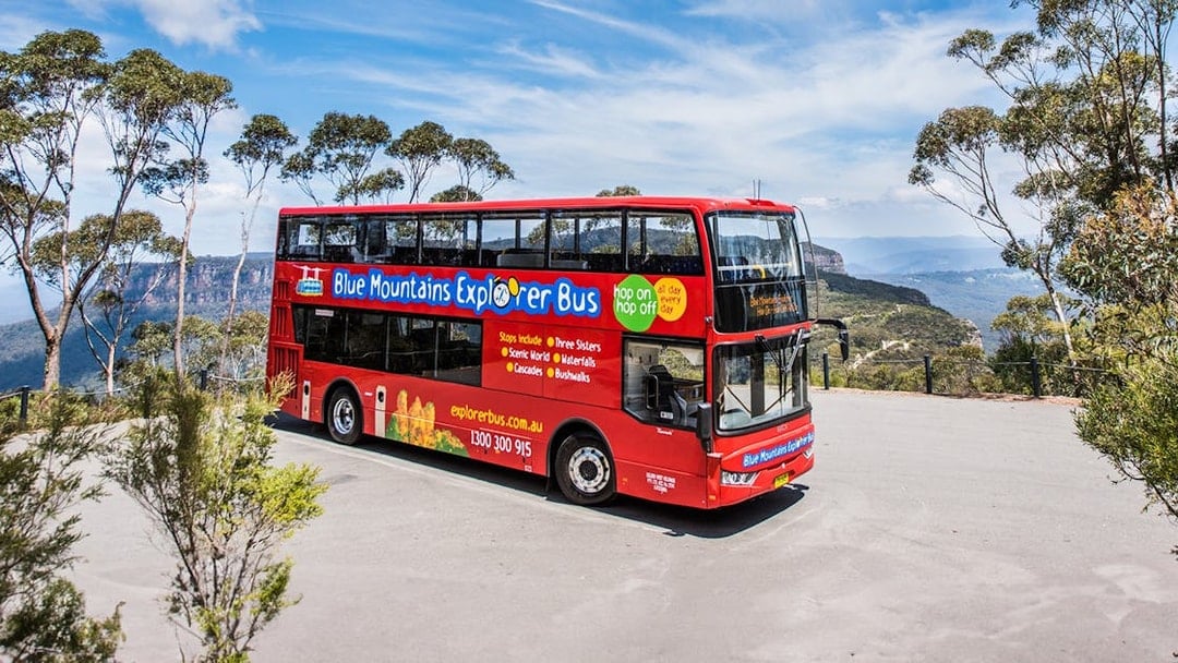 Red double-decker bus on Blue Mountains Hop-On Hop-Off Tour with scenic view.