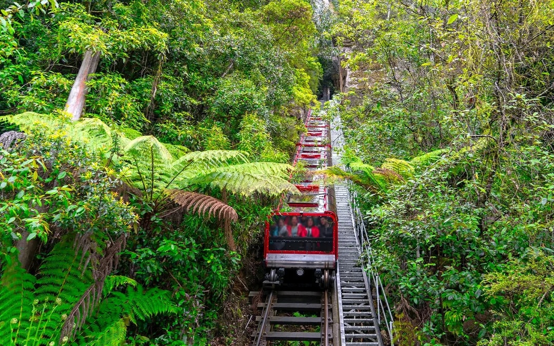 Blue Mountains Hop-On Hop-Off Bus Tour with Optional Scenic World Pass Image 6