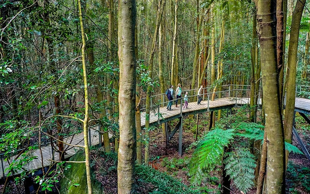 Blue Mountains Hop-On Hop-Off Bus Tour with Optional Scenic World Pass Image 9