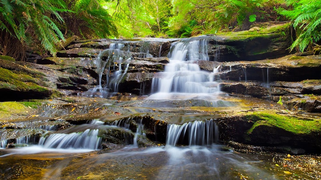 Waterfall at Leura Cascades, Blue Mountains, surrounded by lush greenery.